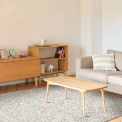 (B719) Elsa Cream Flatweave Fringe Area Rug, 5x7 -Home Decor Store b719 elsa cream flatweave fringe area rug 5x7 7