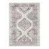 (B829) Grey & White Floral Washable Area Rug, 5x7