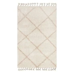 (C172) Sandee Neutral Shag Fringe Accent Rug, 3x5