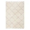 (C172) Sandee Neutral Shag Fringe Area Rug, 5x8