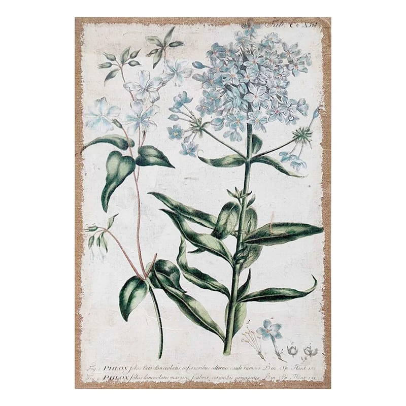 Chambray Botanical Spackled Burlap Canvas Wall Art, 16x24 1 Chambray Botanical Spackled Burlap Canvas Wall Art, 16x24