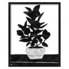 Glass Framed Black & White Plant Print Wall Art, 17x21