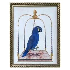 Glass Framed Parrot Print Wall Art, 13x17