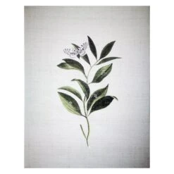 Grace Mitchell Botanical Canvas Wall Art, 11x14