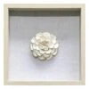 Grace Mitchell Glass Framed White Flower Wall Art, 18"