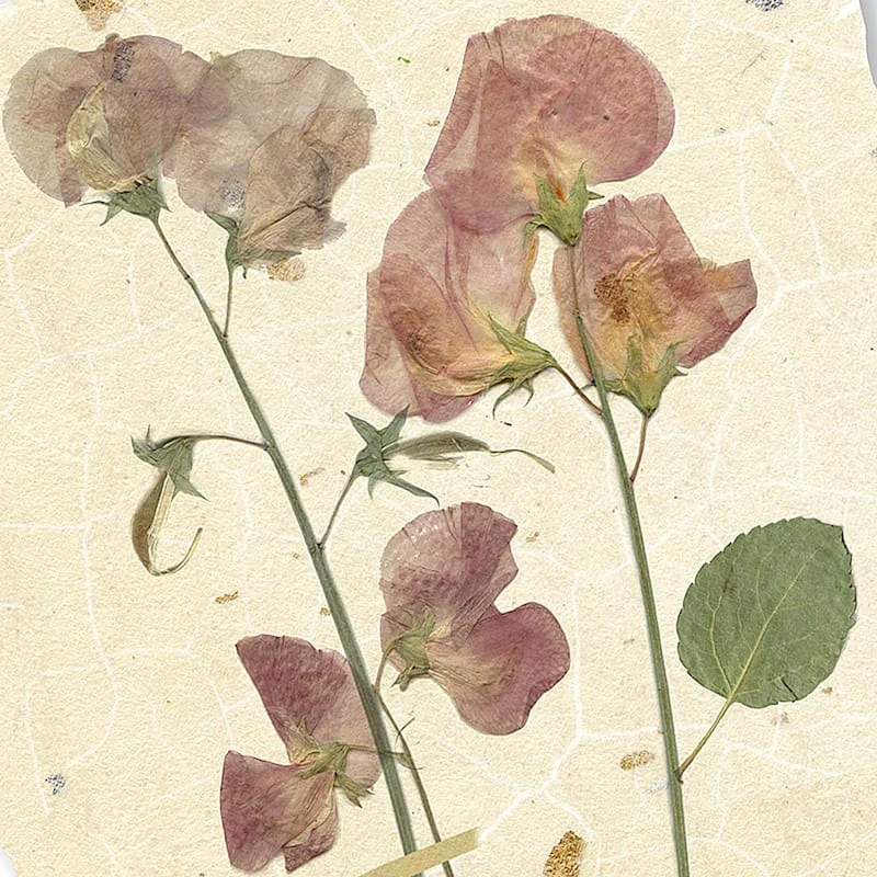 Honeybloom Glass Framed Floral Print Wall Art, 17x21 2 Honeybloom Glass Framed Floral Print Wall Art, 17x21 - Image 2