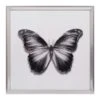 Laila Ali Framed Butterfly Print Wall Art, 20"
