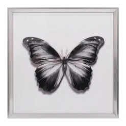Laila Ali Framed Butterfly Print Wall Art, 20"