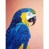 Parrot Canvas Wall Art, 12x16