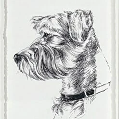 Providence Glass Framed Dog Sketch Print Wall Art, 13x17 -Home Decor Store providence glass framed dog sketch print wall art 13x17 3