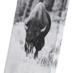 Ty Pennington Bison Grazing Canvas Wall Art, 12x36 -Home Decor Store ty pennington bison grazing canvas wall art 12x36 7