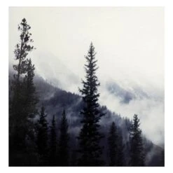 Ty Pennington Forest Canvas Wall Art, 24"